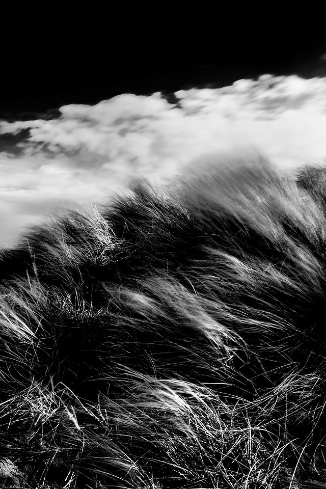 _DSF7852-GH-Edit-2