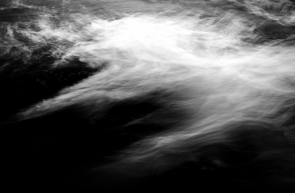 _DSF7881