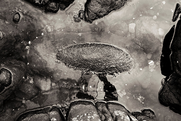 _DSF7623-GH-Edit-3