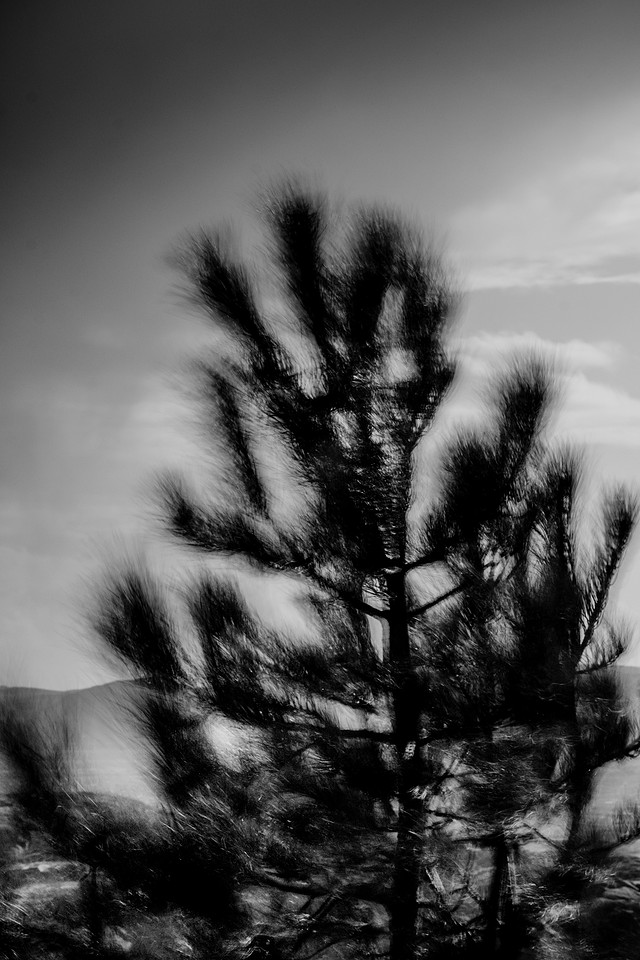 _DSF7662