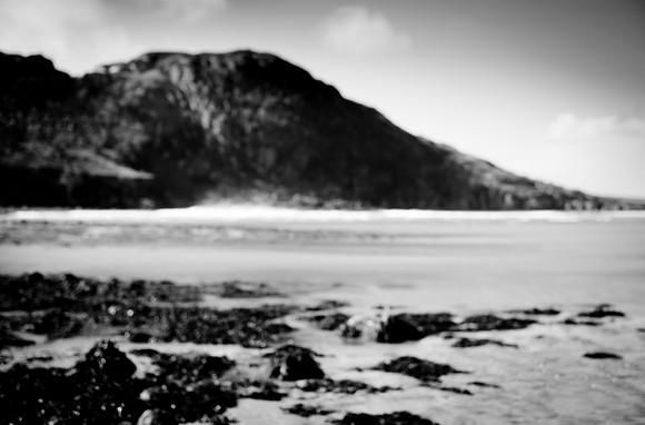 _DSF7681-2