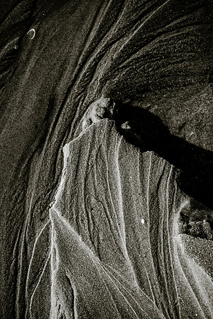 _DSF7539