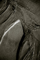 _DSF7568
