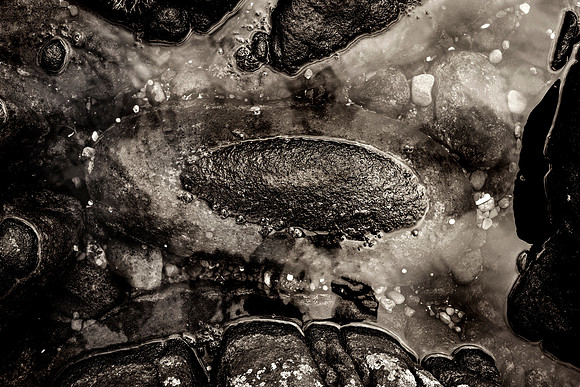 _DSF7623-GH-Edit-2