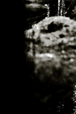 _DSF7444