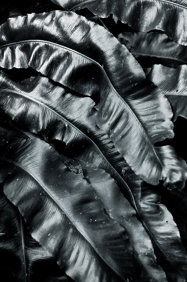 0001_GH33014