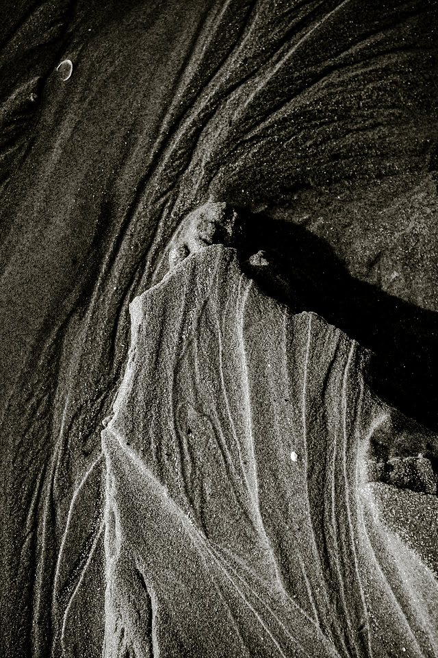 _DSF7547