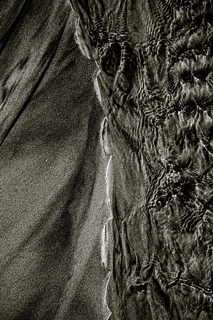 _DSF7536