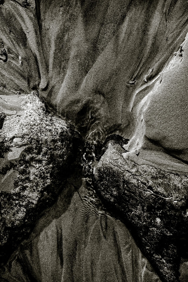 _DSF7547