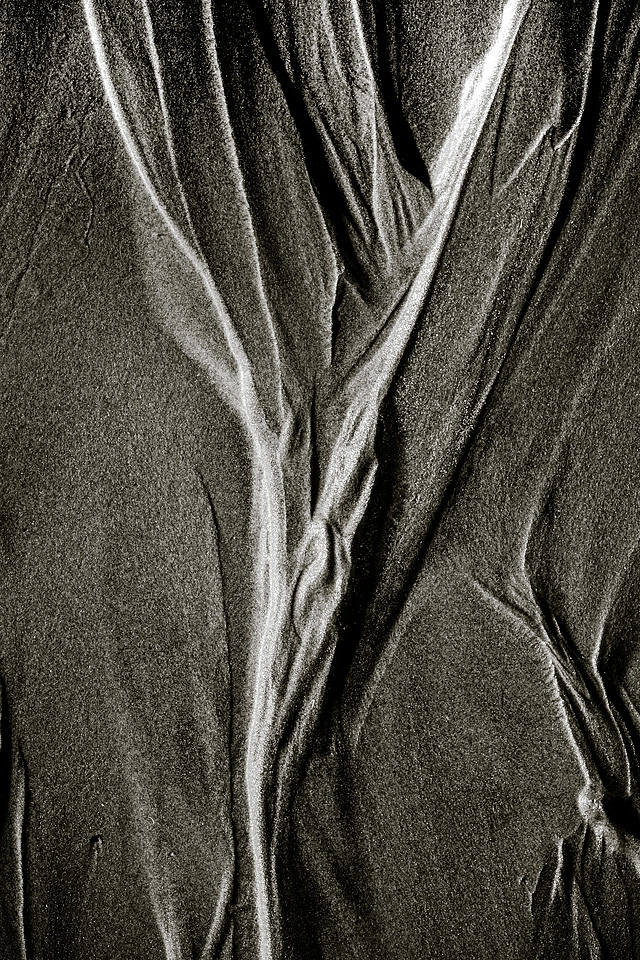 _DSF7547