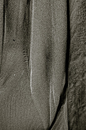 _DSF7561