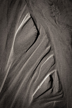 _DSF7779