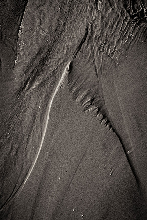 _DSF7799