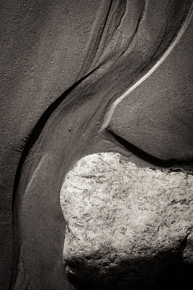 _DSF7547
