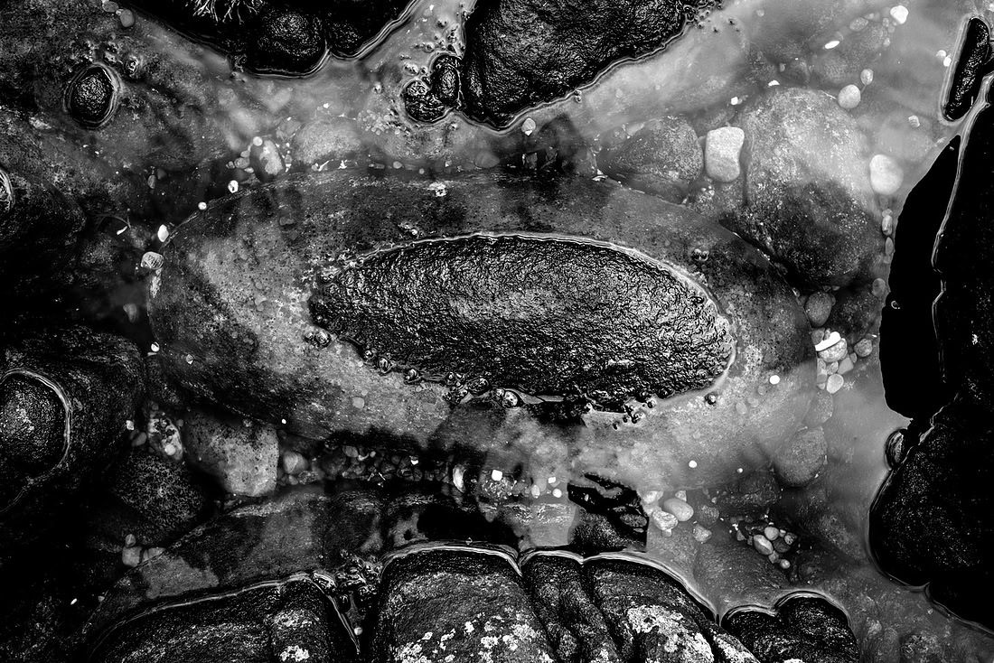 _DSF7623-GH-Edit-2