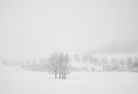 _DSF6345-2