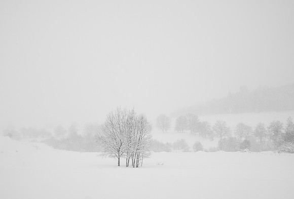 _DSF6345-2