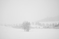 _DSF6345