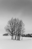 _DSF6379