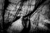 DSCF7736