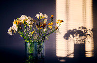 LANDSCAPES_20