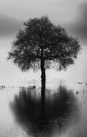 _XHG7146-Edit