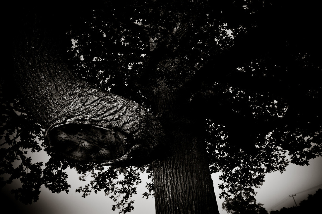 0001_GH33014