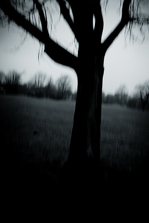 0008SDIM0011
