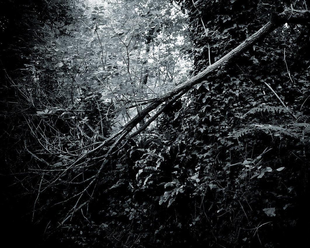 0001_GH33014