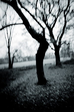 0019SDIM0057