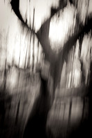 London-Photo-Training-0001